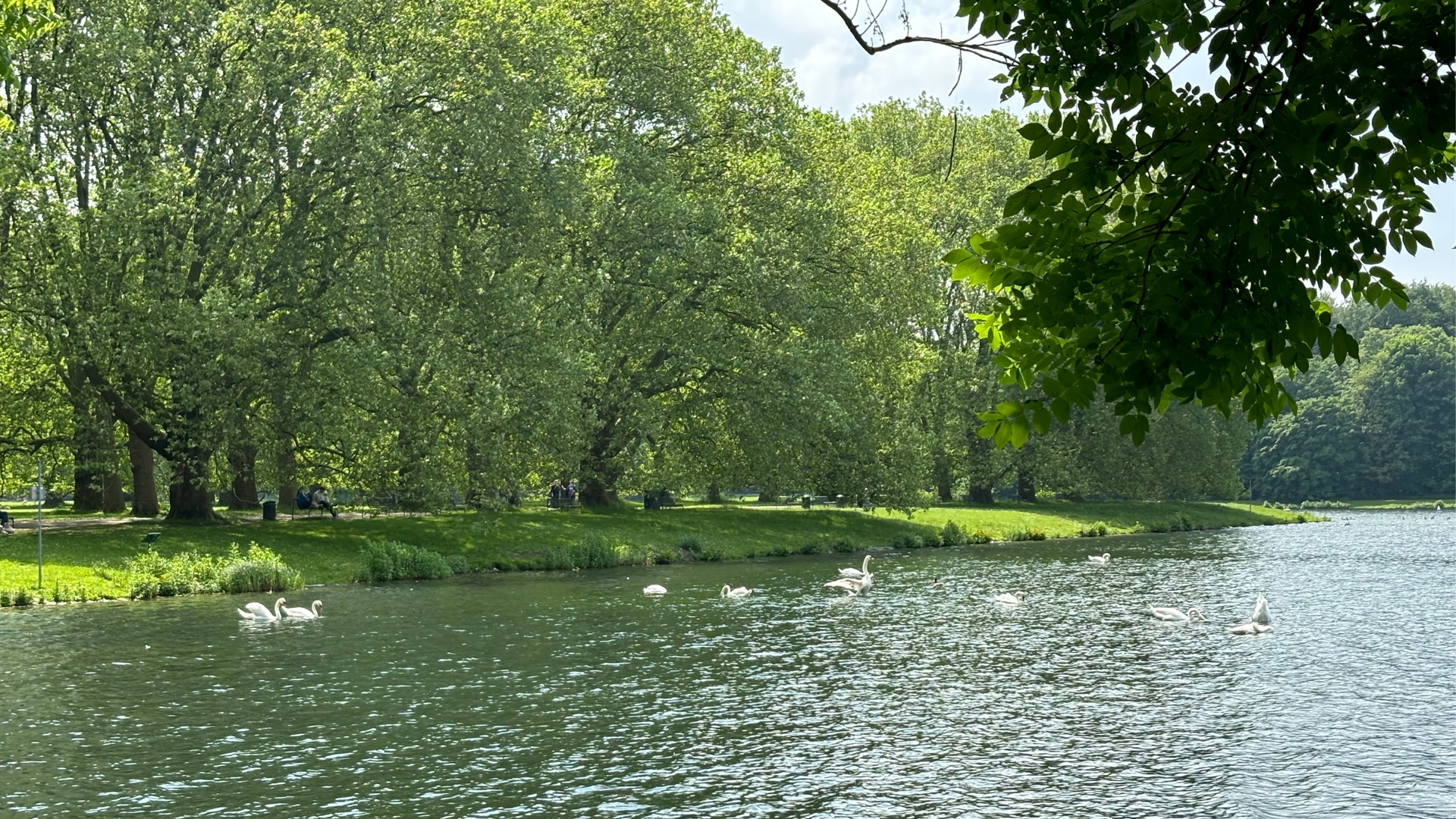Decksteiner Weiher